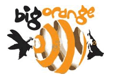 Big Orange Watersports Code promo 
